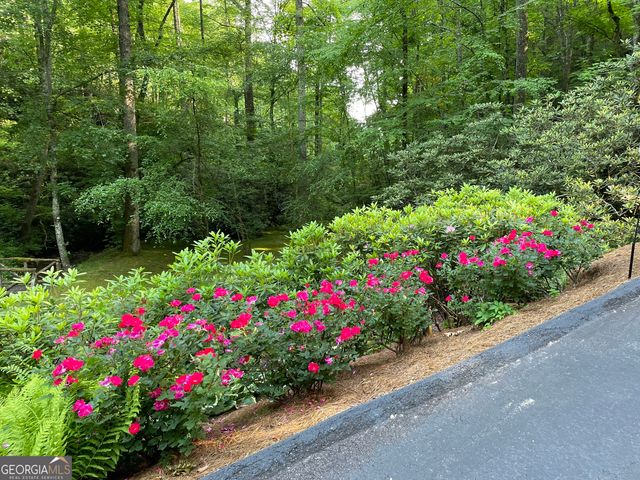 55 Wood Valley Road, Scaly Mtn, NC 28775