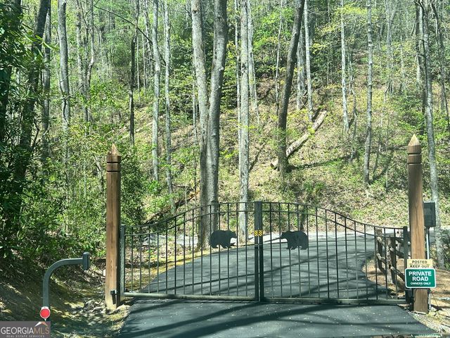 55 Wood Valley Road, Scaly Mtn, NC 28775