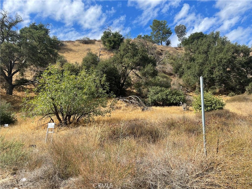 0 Chiquita Canyon RD, Val Verde, CA 91384