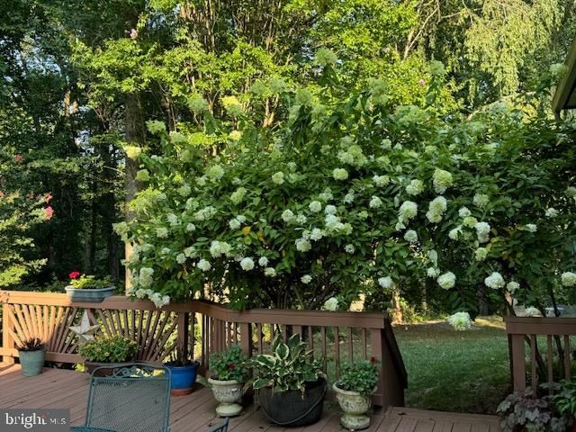 9614 CINNAMON CREEK DR, Vienna, VA 22182