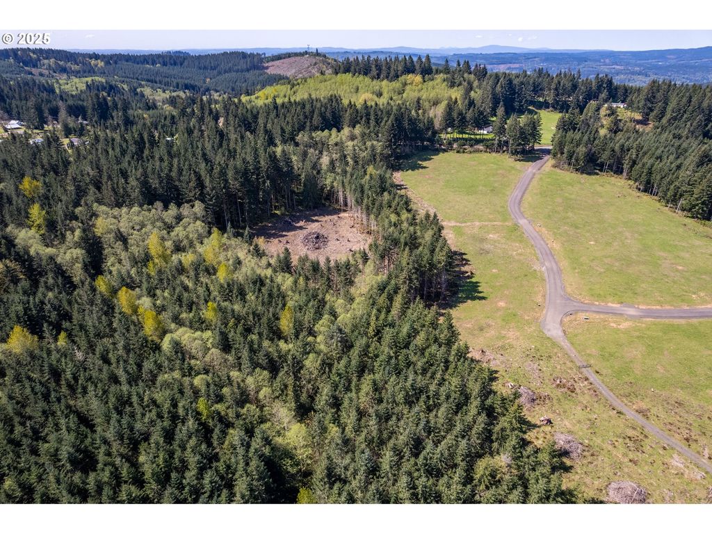 0 Silverwood Dr F2, Castle Rock, WA 98611