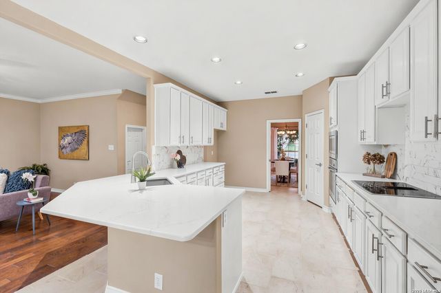 24219 Bear Mtn, San Antonio, TX 78258