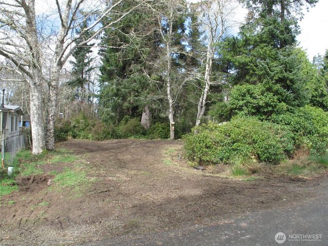 32317 Q Place, Ocean Park, WA 98640