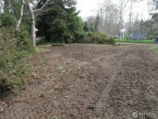 32317 Q Place, Ocean Park, WA 98640