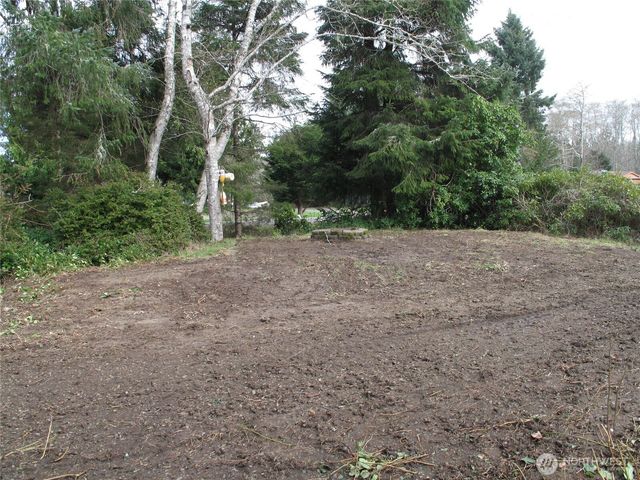 32317 Q Place, Ocean Park, WA 98640