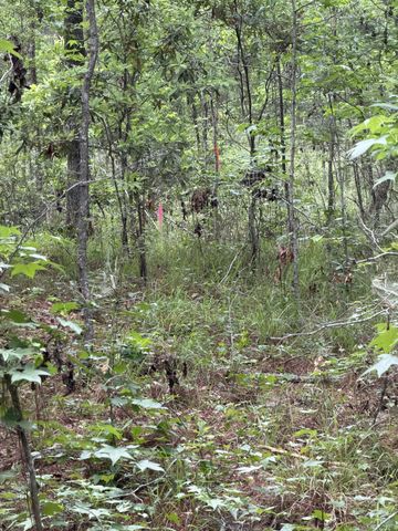 200 Yearling Drive, Summerville, SC 29486