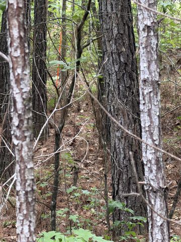 200 Yearling Drive, Summerville, SC 29486