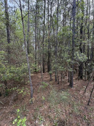 200 Yearling Drive, Summerville, SC 29486