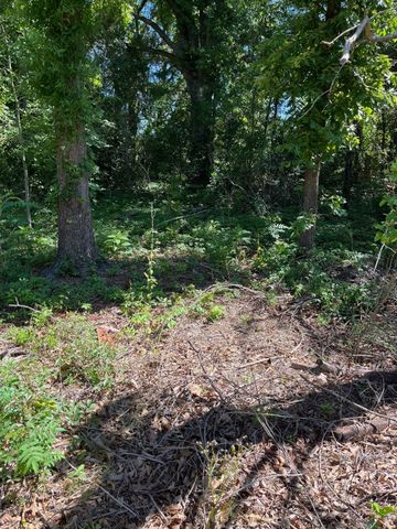 0000 FM 1801, Mineola, TX 75773