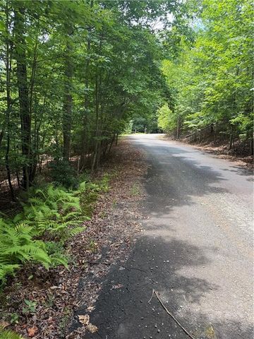 13 Pinnacle Court, Blairsville, GA 30512