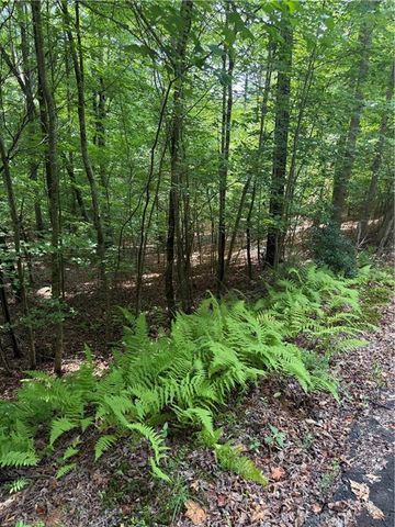 13 Pinnacle Court, Blairsville, GA 30512
