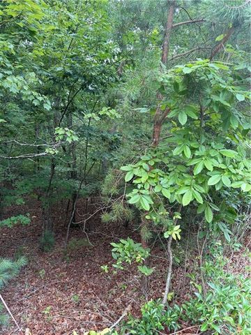 13 Pinnacle Court, Blairsville, GA 30512
