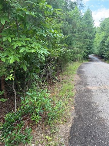 13 Pinnacle Court, Blairsville, GA 30512