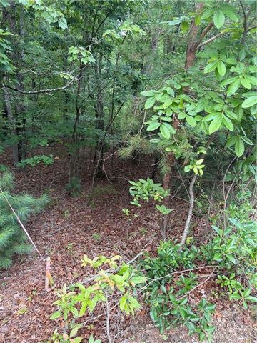 13 Pinnacle Court, Blairsville, GA 30512