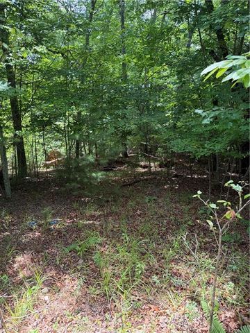 13 Pinnacle Court, Blairsville, GA 30512