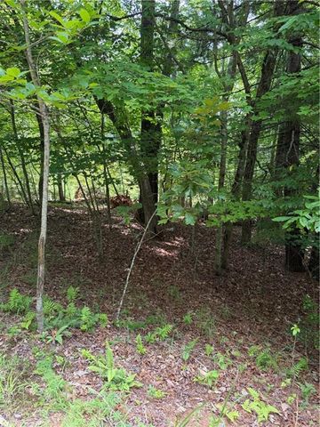 13 Pinnacle Court, Blairsville, GA 30512