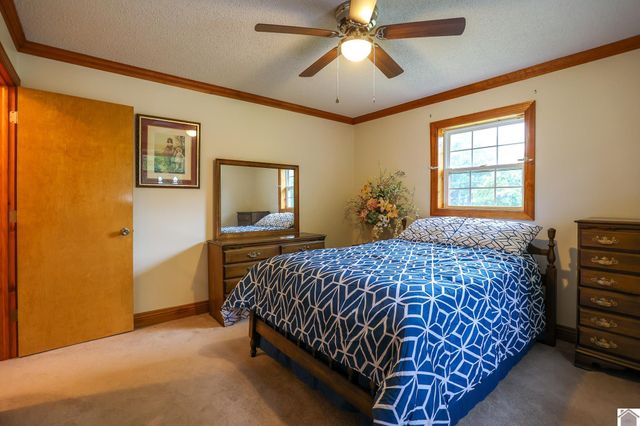 245 Babbland Drive, Paducah, KY 42003