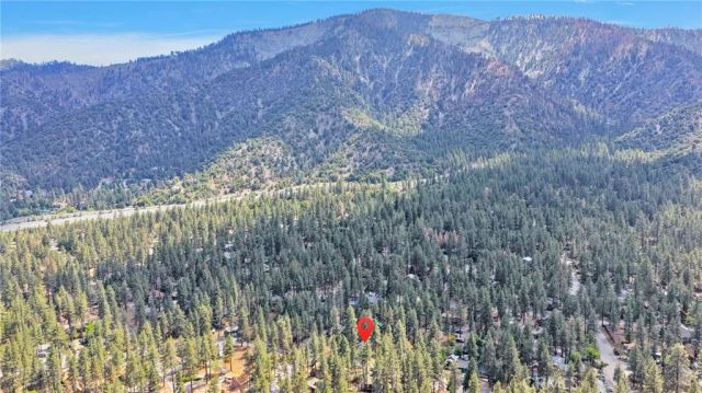 1661 Virginia Street, Wrightwood, CA 92397