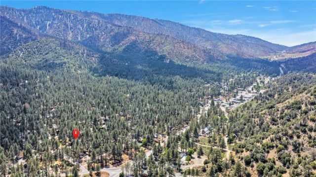 1661 Virginia Street, Wrightwood, CA 92397