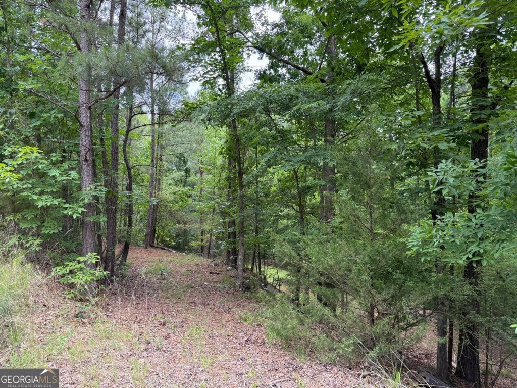 LOT 52 Bramlett Cr, Elberton, GA 30635 — exterior