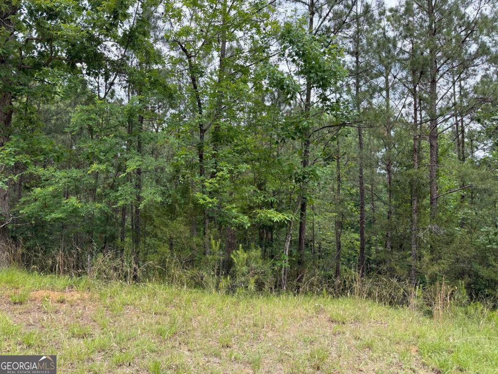 LOT 52 Bramlett Cr, Elberton, GA 30635 — photo 2