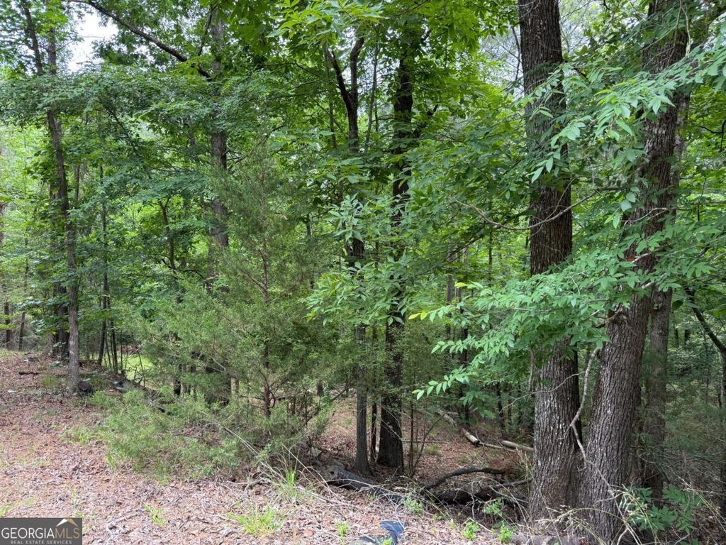 LOT 52 Bramlett Cr, Elberton, GA 30635 — photo 3