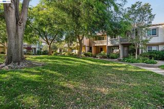 3227 Santa Cruz Ln, Alameda, CA 94502