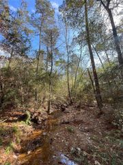 10733 Ruger Road, Willis, TX 77378