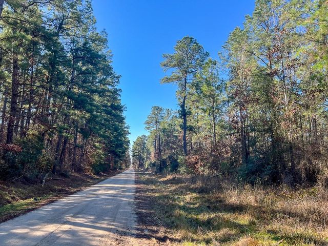 1 Highway 287, Pennington, TX 75845