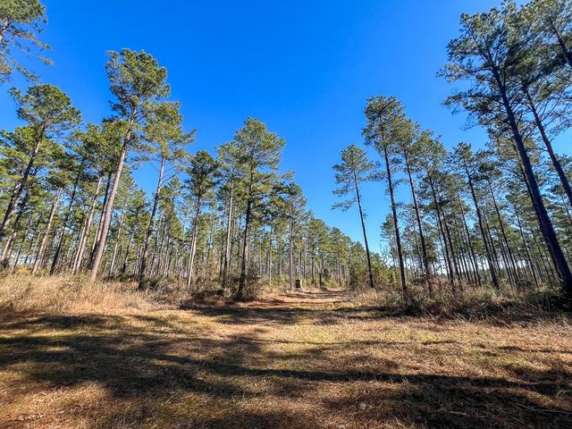 1 Highway 287, Pennington, TX 75845