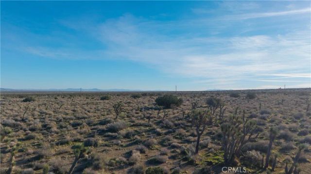 223 Avenue X, Llano, CA 93544