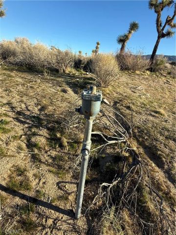 223 Avenue X, Llano, CA 93544