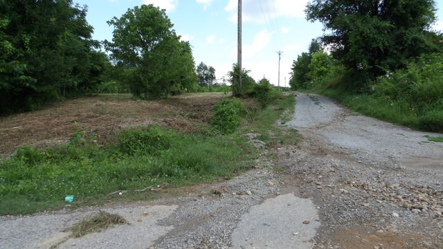 0 Lonnie Reecer Rd, Celina, TN 38551