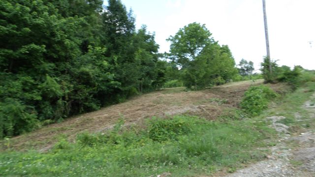 0 Lonnie Reecer Rd, Celina, TN 38551