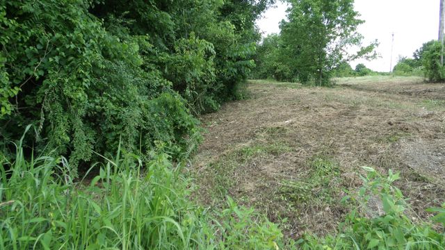 0 Lonnie Reecer Rd, Celina, TN 38551