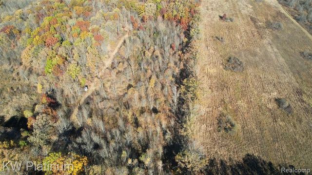 VACANT 2 - Mile Road, Ray, MI 48096