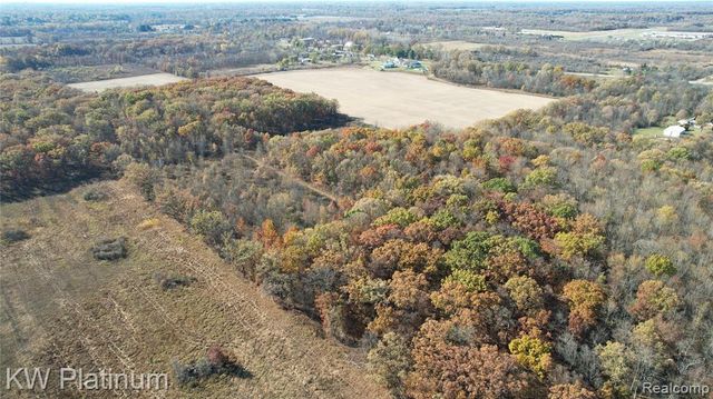 VACANT 2 - Mile Road, Ray, MI 48096