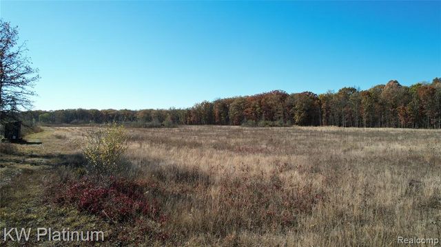 VACANT 2 - Mile Road, Ray, MI 48096