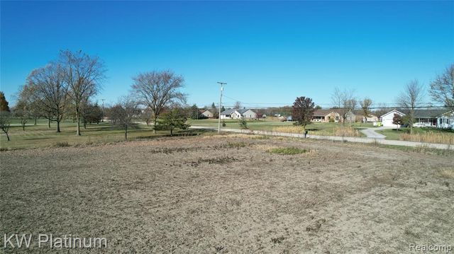 VACANT 2 - Mile Road, Ray, MI 48096