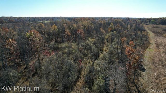 VACANT 2 - Mile Road, Ray, MI 48096