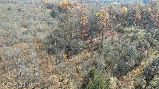 VACANT 2 - Mile Road, Ray, MI 48096