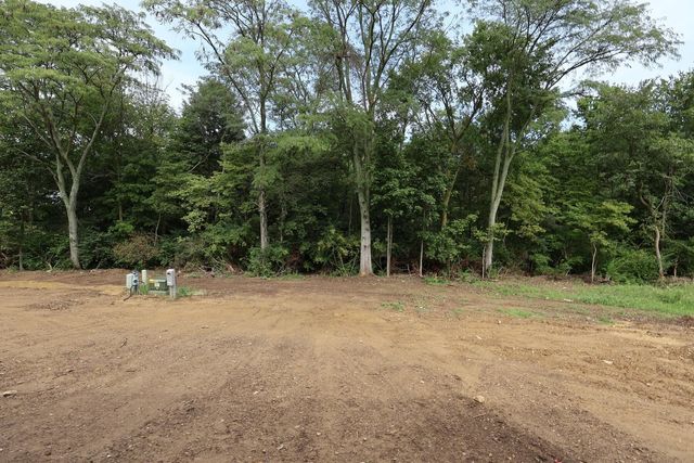 1137 Saddle Tank Drive, Plain City, OH 43064
