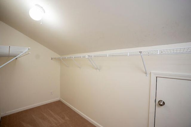 3012 Tiburon Court, Lexington, KY 40511