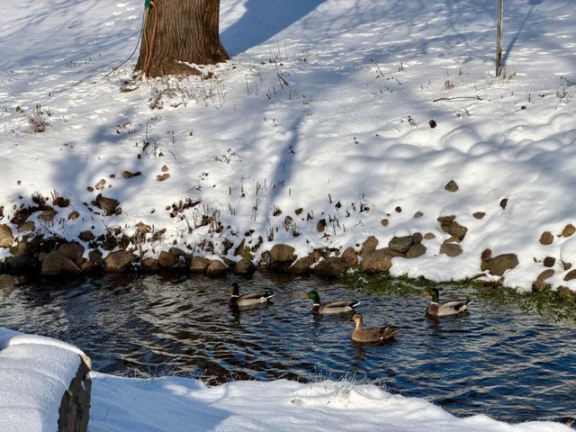 213 2nd Street N, Cold Spring, MN 56320