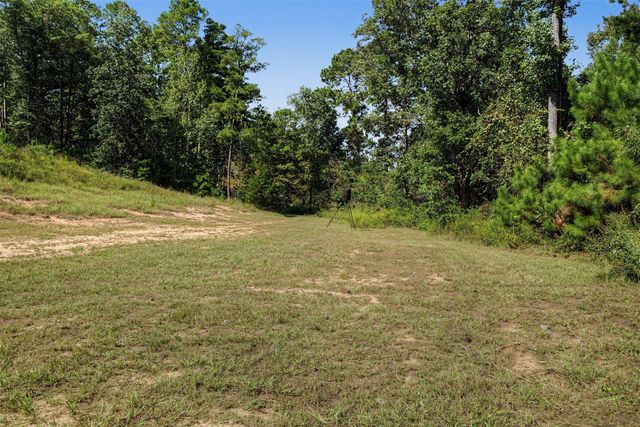 282 E Slumberlane Drive, Livingston, TX 77351