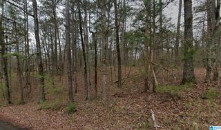 7410 DEWEY GOODWIN ROAD, Pinson, AL 35126