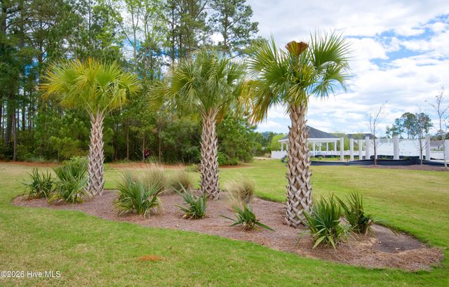 1215 N Middleton Drive NW 2906, Calabash, NC 28467