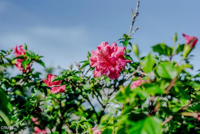 5124 Beachcomber Street, Oxnard, CA 93035