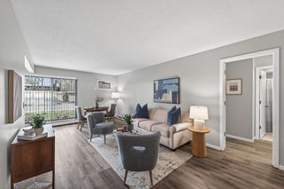 4612 Cedar Lake Road S 4, Saint Louis Park, MN 55416