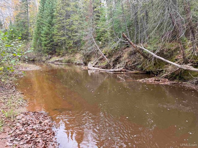 Undisclosed State Highway M-64 Highway, Ontonagon, MI 49953